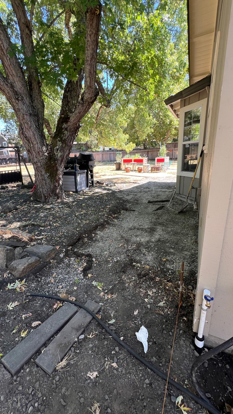 After concrete removal Healdsburg backyard cleared